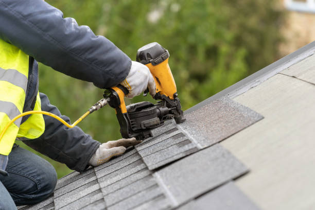 Best Solar Panel Roofing Installation  in Maryland City, MD